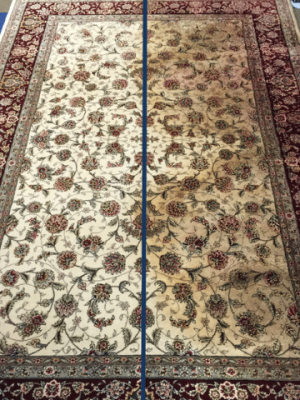 urine-tapis-Petit.png urine-tapis-Petit.png